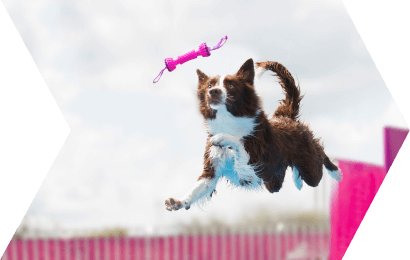 Eukanuba