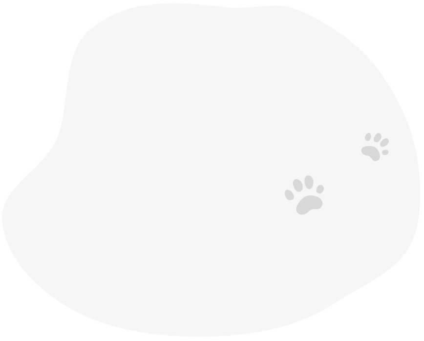 spot background