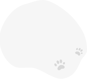 spot background