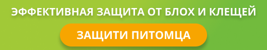 акция zoopt.ru