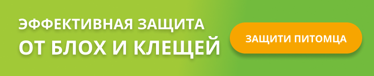 акция zoopt.ru