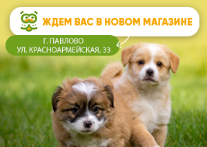 Новый магазин в г. Павлово Новый магазин в г. Павлово