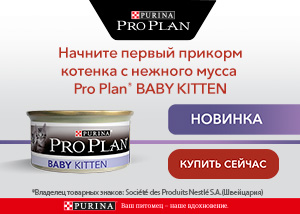 Первый прикорм с Pro Plan Baby Kitten