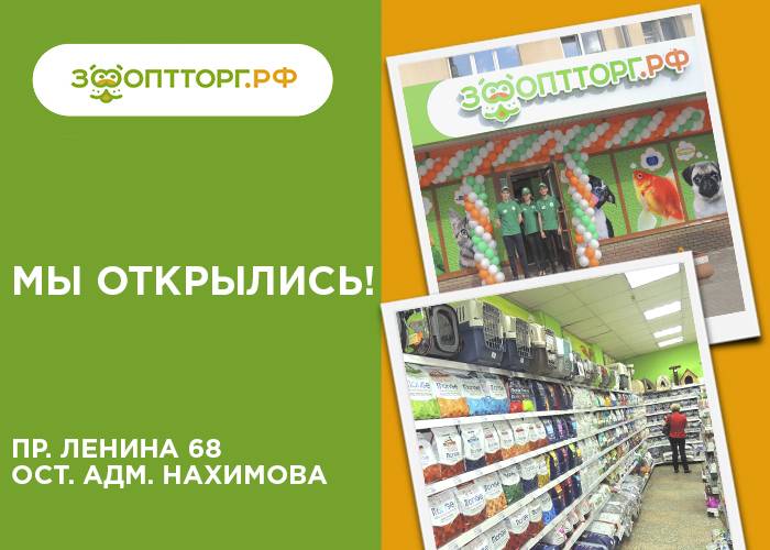 Торжественное открытие Торжественное открытие