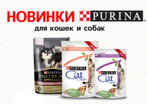Новинки от Purina: влажные корма для кошек и собак! Новинки от Purina: влажные корма для кошек и собак!