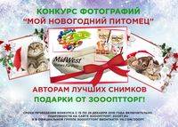 Новогодний конкурс фотографий Новогодний конкурс фотографий