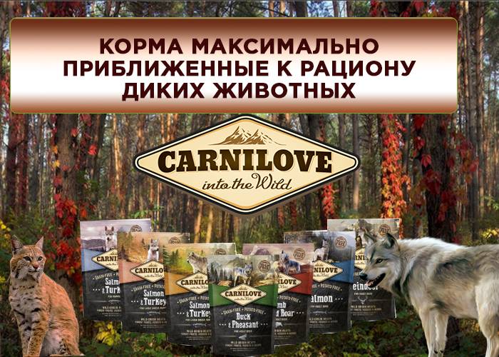 Новое поступление беззерновых кормов Brit Carnilove 