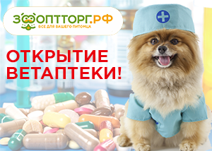 Открытие ветеринарной аптеки Открытие ветеринарной аптеки