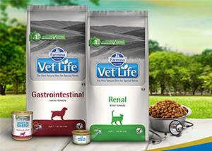 Новинка! Farmina VetLife в интернет-магазине Новинка! Farmina VetLife в интернет-магазине