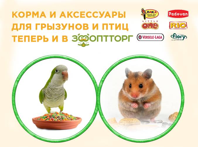 Корма, аксессуары для грызунов и птиц Корма, аксессуары для грызунов и птиц