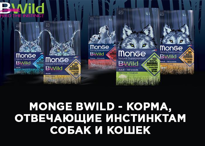 Новая линейка беззерновых кормов Monge Bwild! Новая линейка беззерновых кормов Monge Bwild!