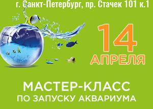 Мастер класс по запуску аквариума Мастер класс по запуску аквариума