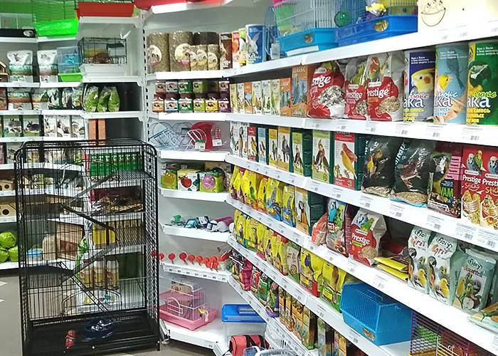 Торжественное открытие магазина на Бекетова 36