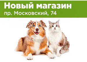 Новый магазин на Московском Проспекте, 74