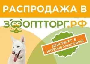 Запускаем большую распродажу! 
