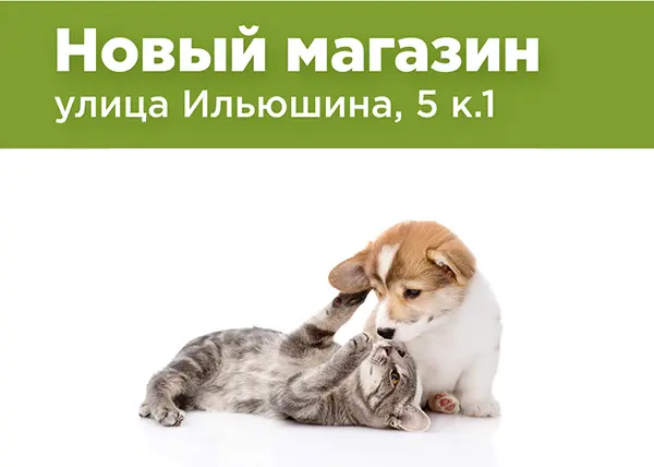 Новый магазин на улице Ильюшина, 5 к.1