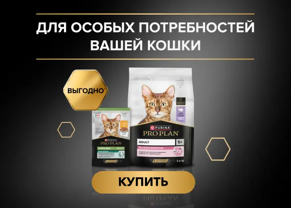 ВЫГОДА ПРИ ПОКУПКЕ СУХИХ И ВЛАЖНЫХ РАЦИОНОВ ДЛЯ КОШЕК PRO PLAN