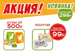 Акция! Именной адресник за 99 руб. вместо 299 руб.!
