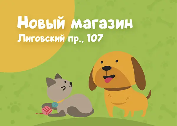 Новый магазин на Лиговском проспекте, 107
