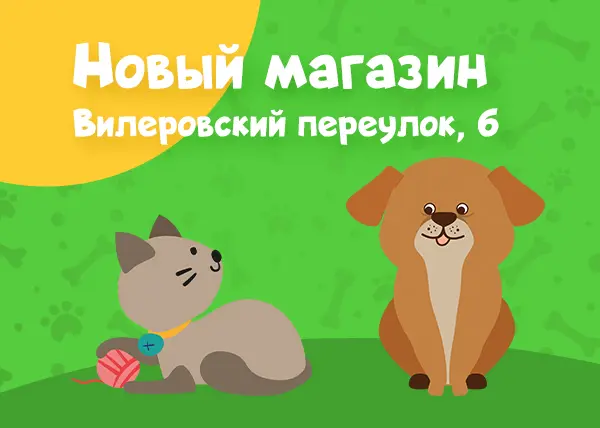 Новый магазин Вилеровский переулок, 6