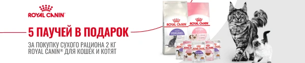 Паучи в подарок за покупку сухого корма Royal Canin для кошек