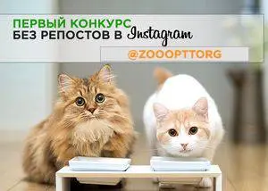 Конкурс в Instagram