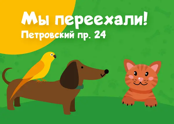 Петровский пр. 24, мы переезжаем!