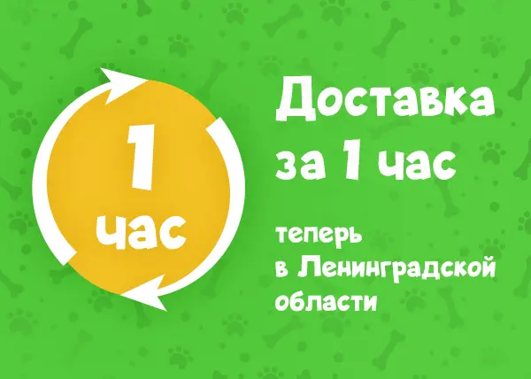 Доставка за 1 час в Ленинградской области!