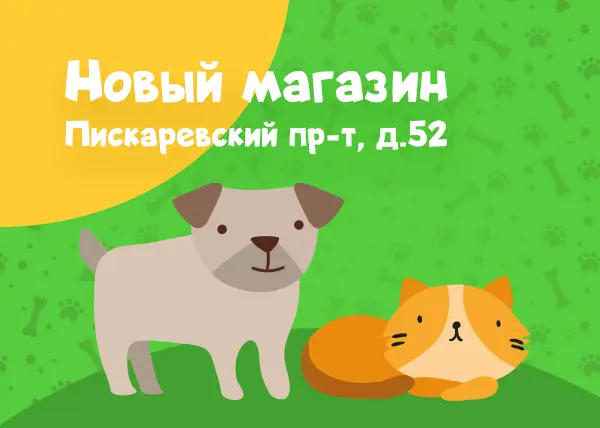 Новый магазин на Пискаревском проспекте, 52