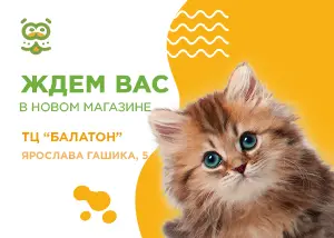 Новый магазин на улице Ярослава Гашека, 5