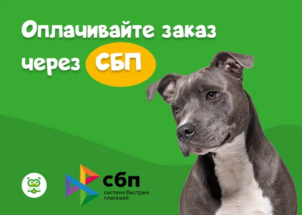 Оплата на сайте с помощью Системы Быстрых Платежей (СБП)