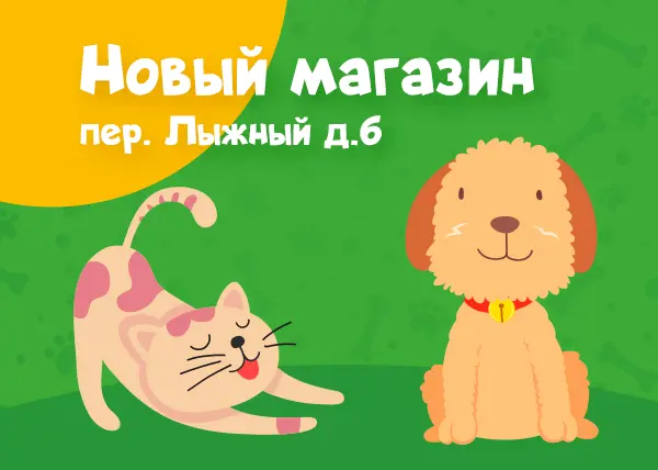 Новый магазин Лыжный пер., д.6