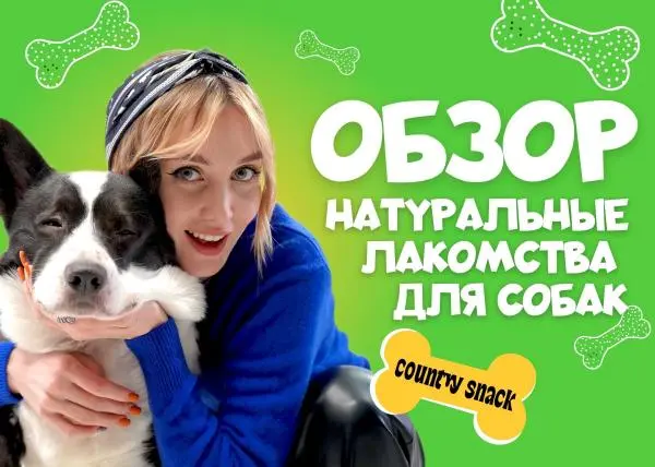 Видео: Country Snack лакомства для собак