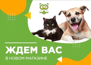 Новый магазин на Комендантском Проспекте, 17 к.1