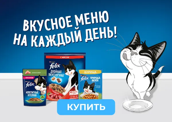 Скидка до 22%  на влажные рационы Felix