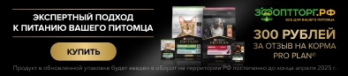 Отзыв про план 300