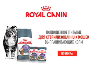Новинка от Royal Canin! Appetite Control Care для кошек, выпрашивающих еду