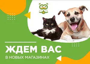 Два новых магазина в Санкт-Петербурге!