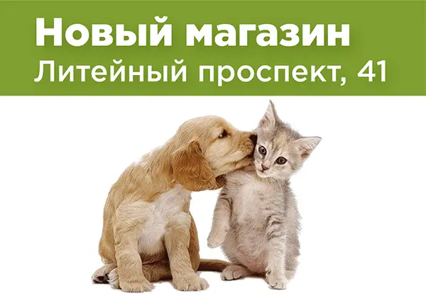 Новый магазин на Литейном проспекте, 41