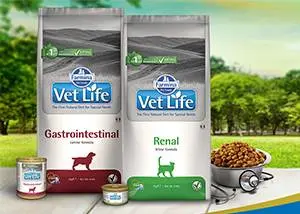 Новинка! Farmina VetLife в интернет-магазине