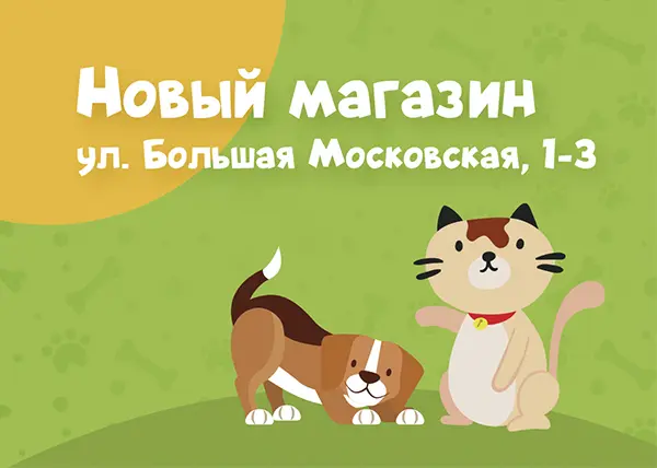 Новый магазин на Большой Московской улице, 1-3