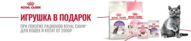Игрушка в подарок за покупку сухих и влажных рационов для кошек Royal Canin от 2000 рублей	