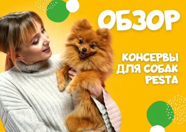 Видео: консервы для собак Pesta