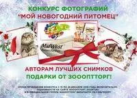 Новогодний конкурс фотографий