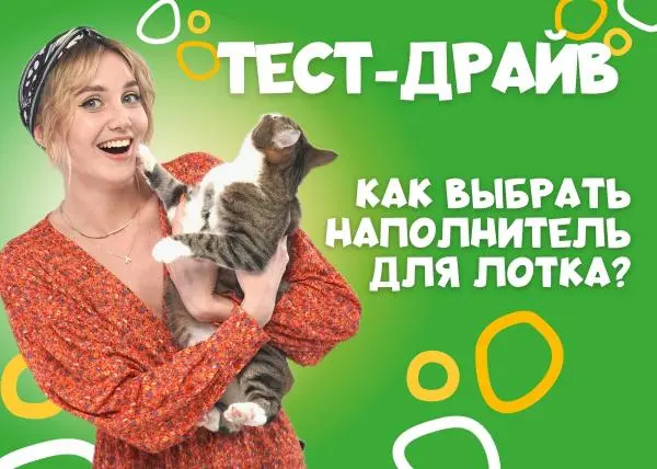 Видео: обзор наполнителя "Qushy"