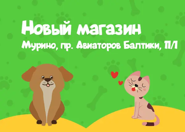 Новый магазин на проспекте Авиаторов Балтики, 11/1