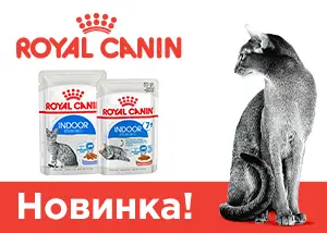 Royal Canin Indoor Sterilised для кошек, живущих в помещении