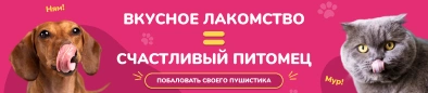 Вкусное лакомство = счастливый питомец