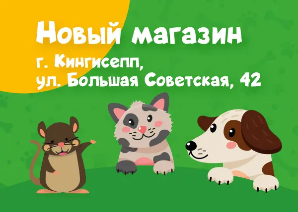 Новый зоомагазин в Санкт-Петербурге на улице Большая Советская, 42