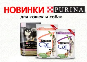Новинки от Purina: влажные корма для кошек и собак!
